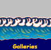 Galleries
